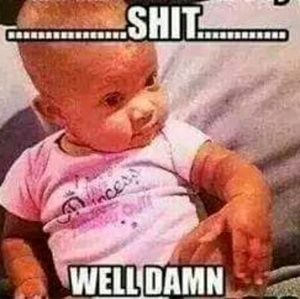 Meet your Posher, Darryl